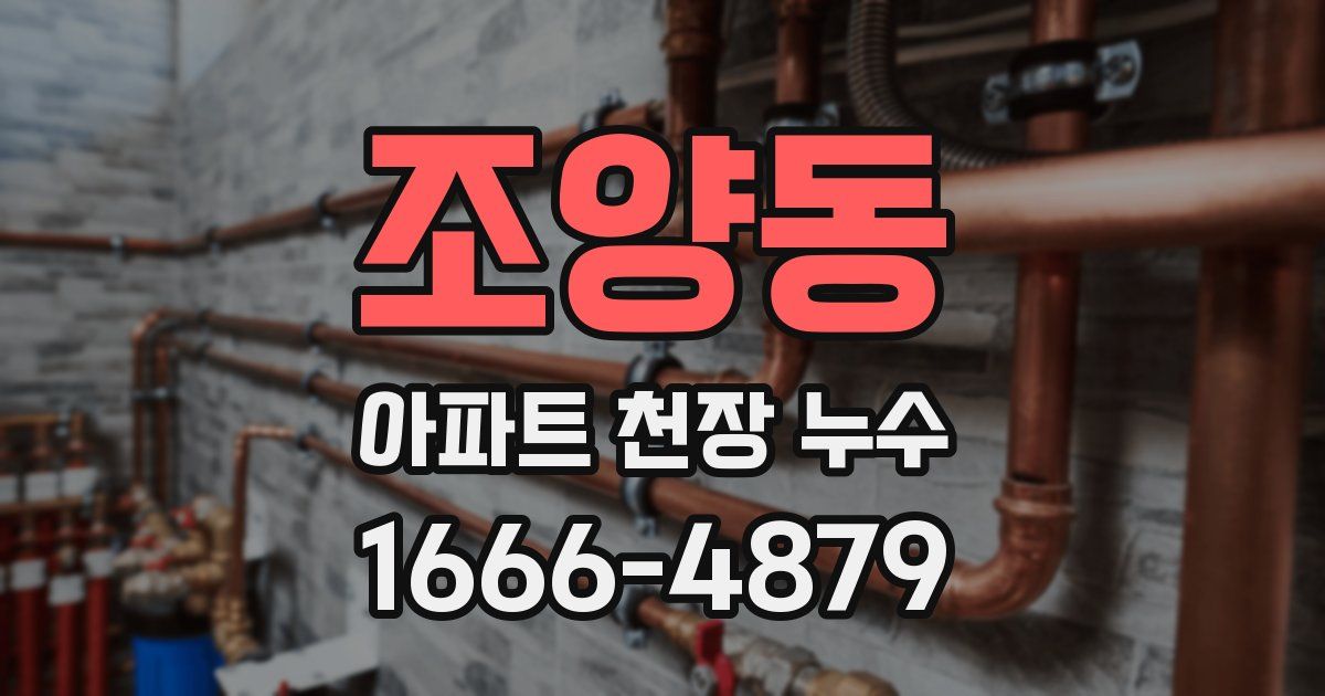 조양동 아파트 천장 누수