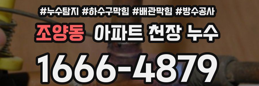 조양동 아파트 천장 누수