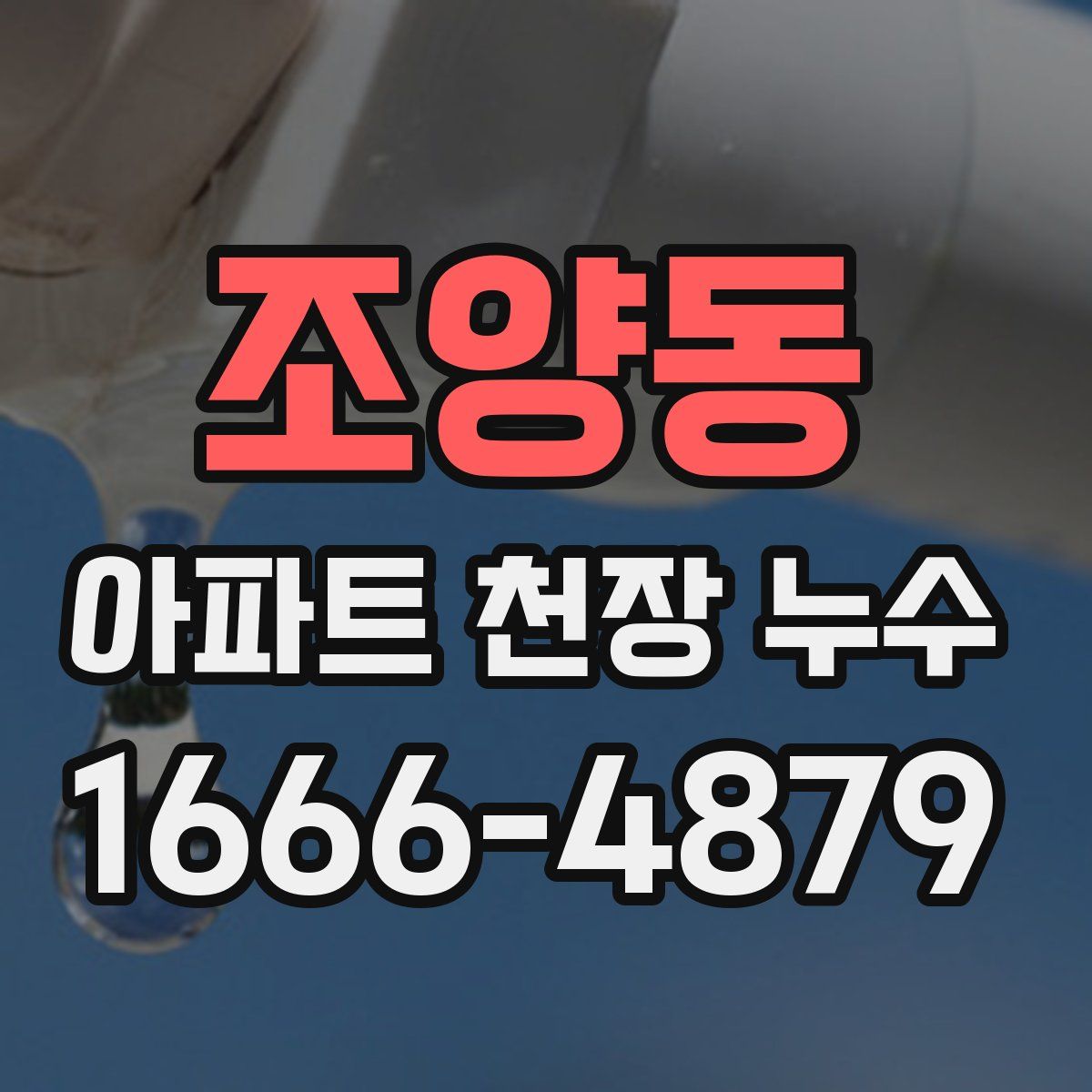조양동 아파트 천장 누수