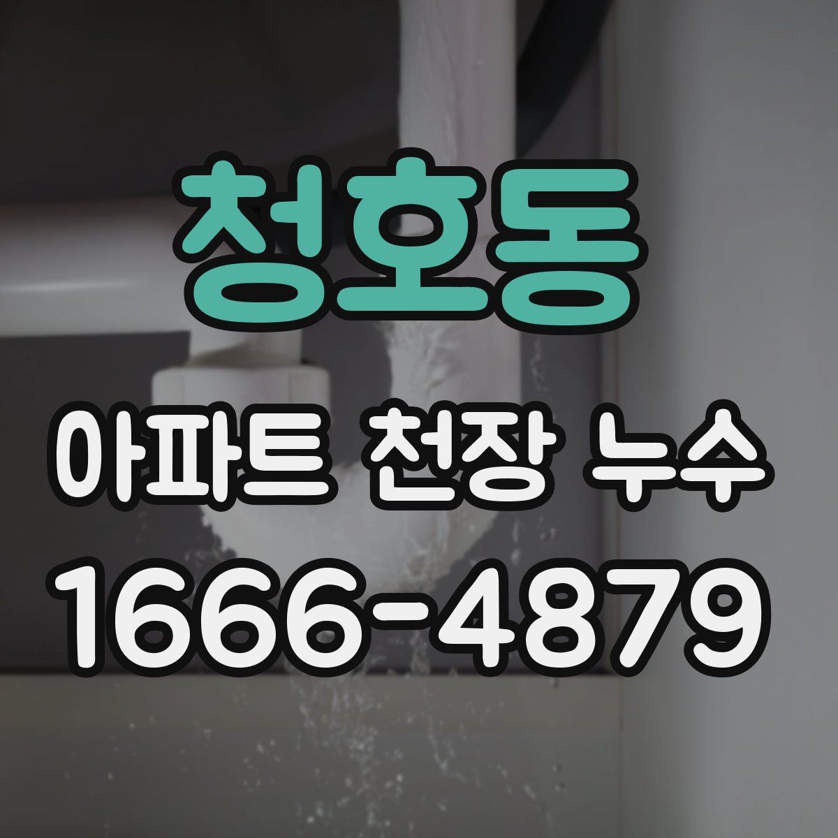 청호동 아파트 천장 누수