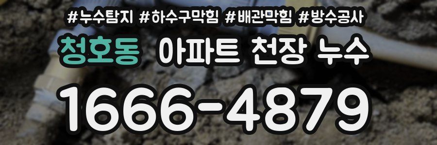 청호동 아파트 천장 누수
