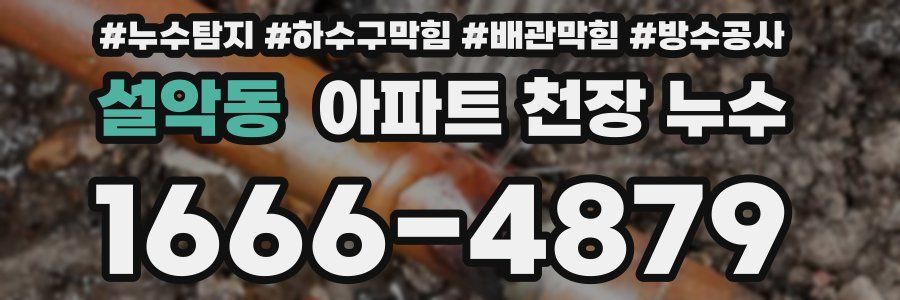 설악동 아파트 천장 누수