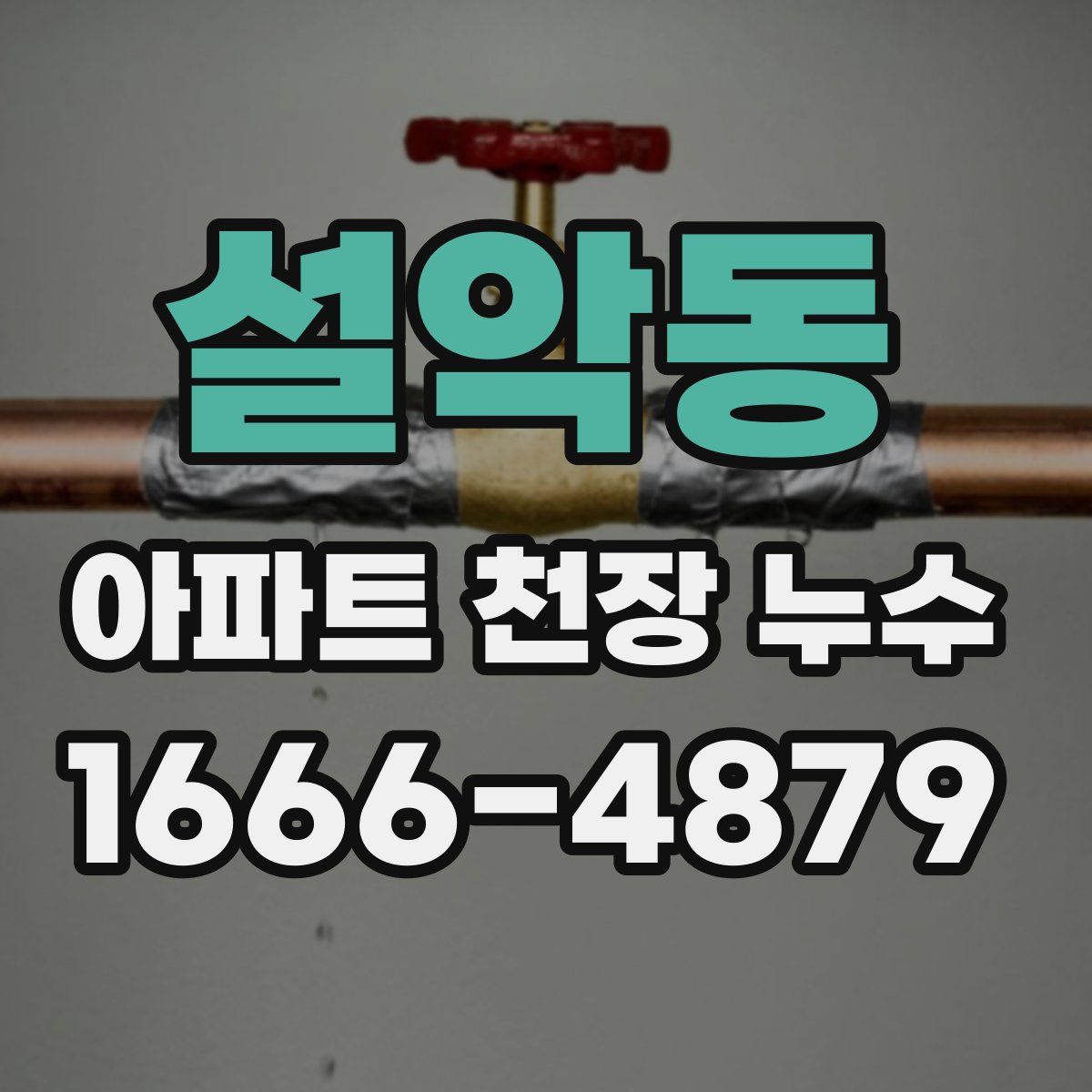 설악동 아파트 천장 누수