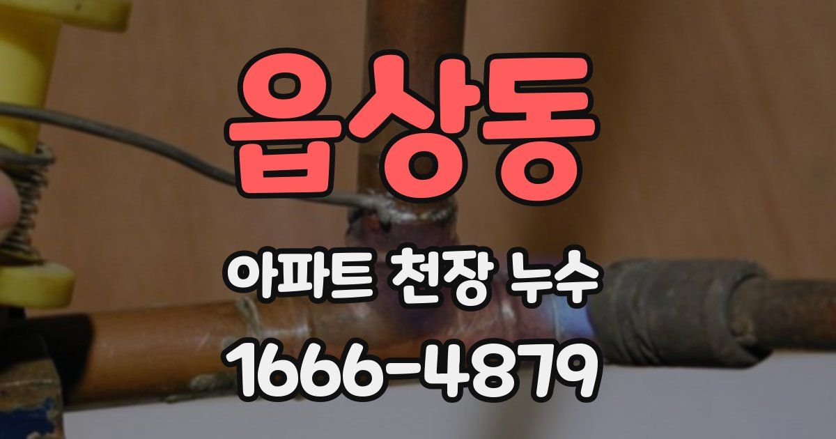 읍상동 아파트 천장 누수