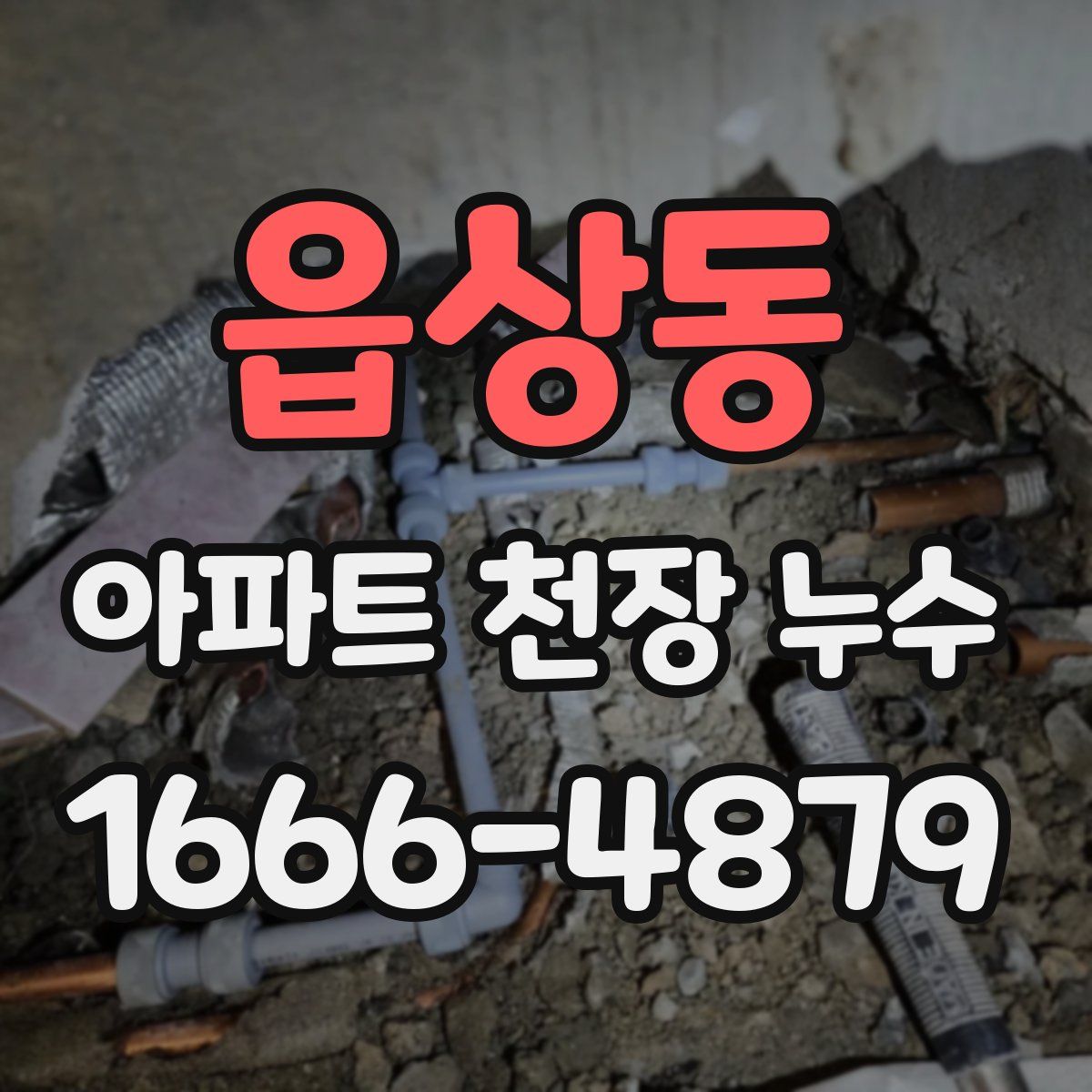 읍상동 아파트 천장 누수