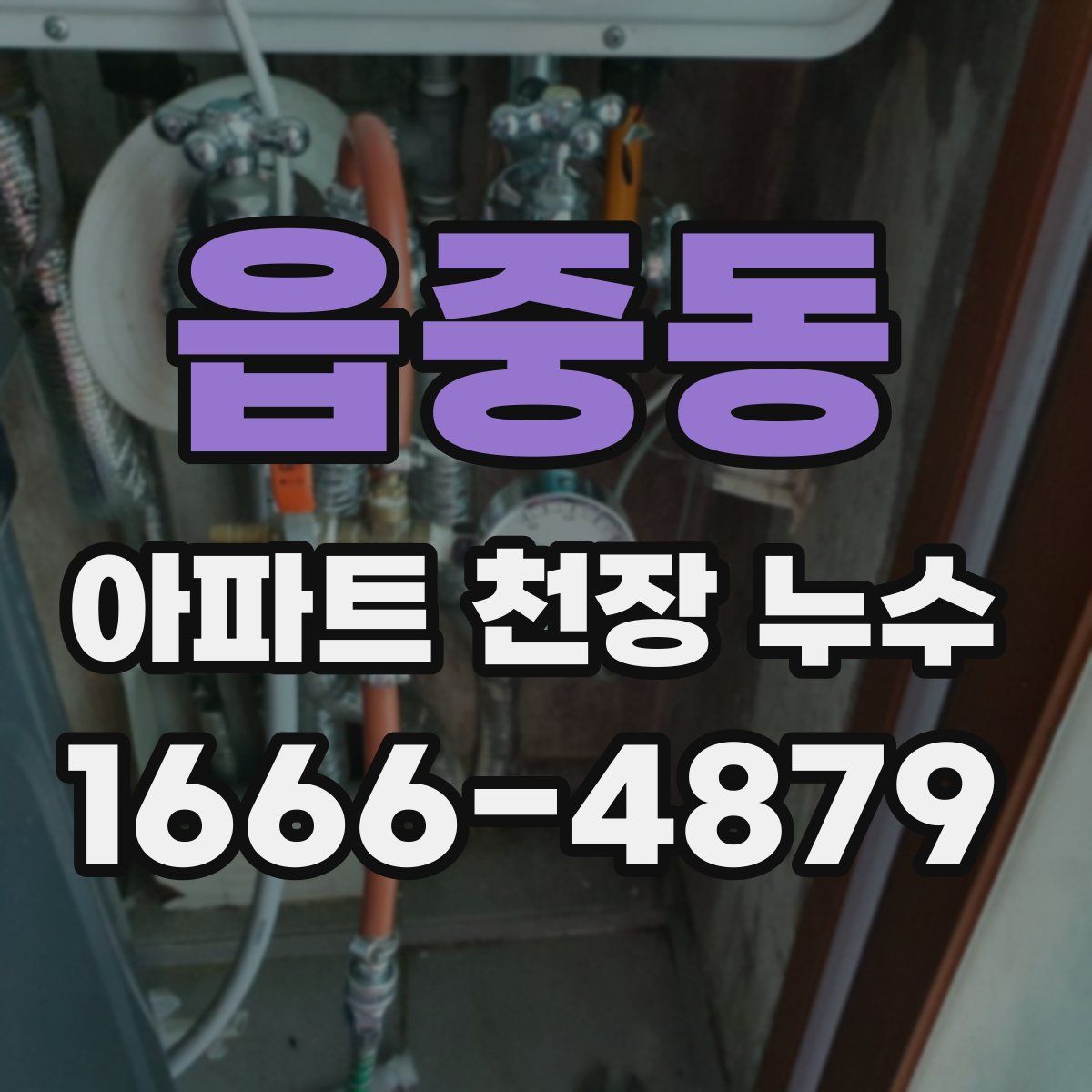 읍중동 아파트 천장 누수