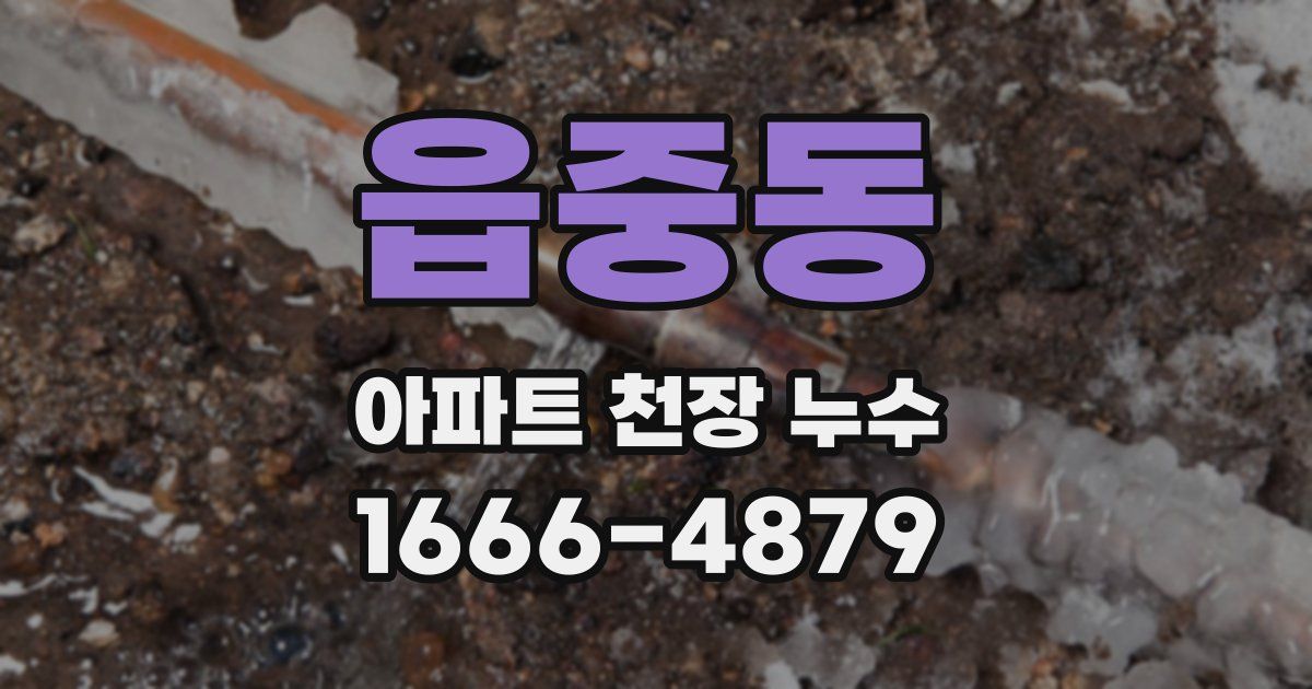 읍중동 아파트 천장 누수