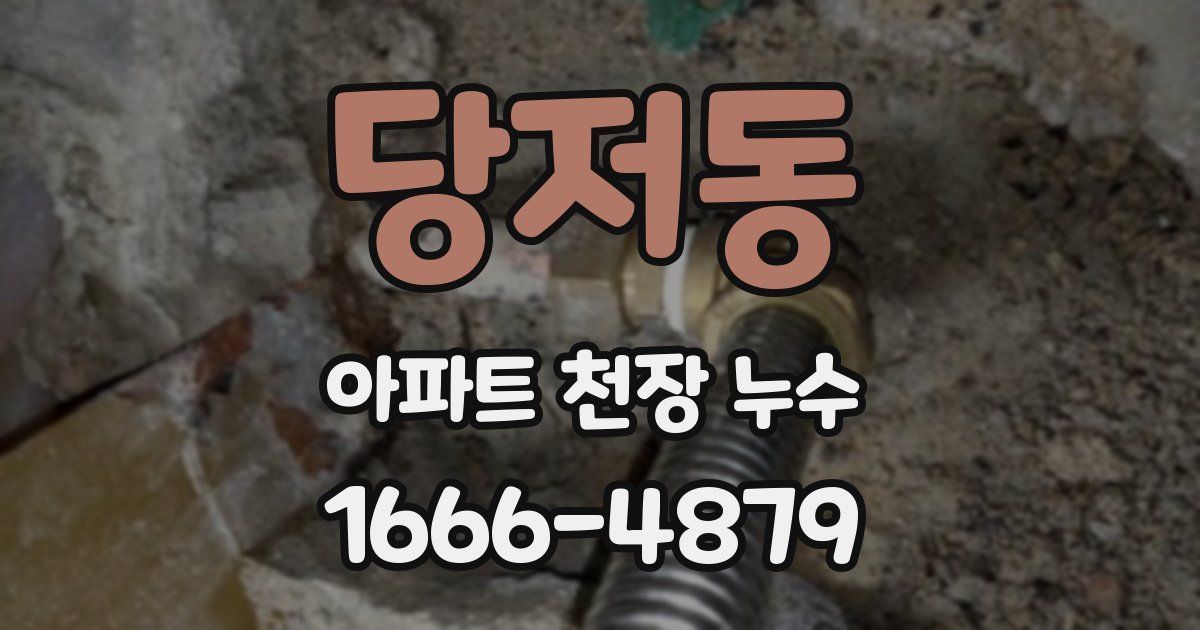 당저동 아파트 천장 누수