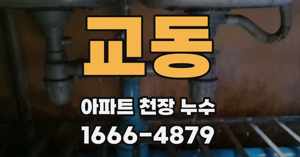 교동 아파트 천장 누수