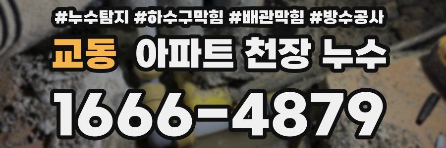 교동 아파트 천장 누수