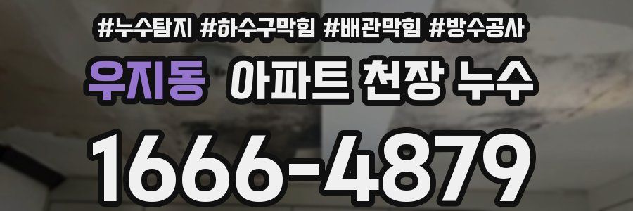 우지동 아파트 천장 누수