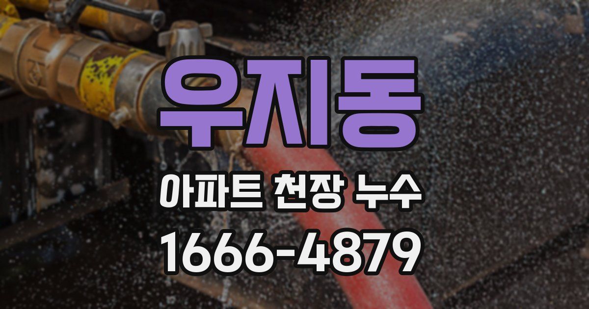 우지동 아파트 천장 누수