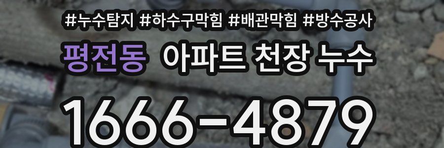평전동 아파트 천장 누수