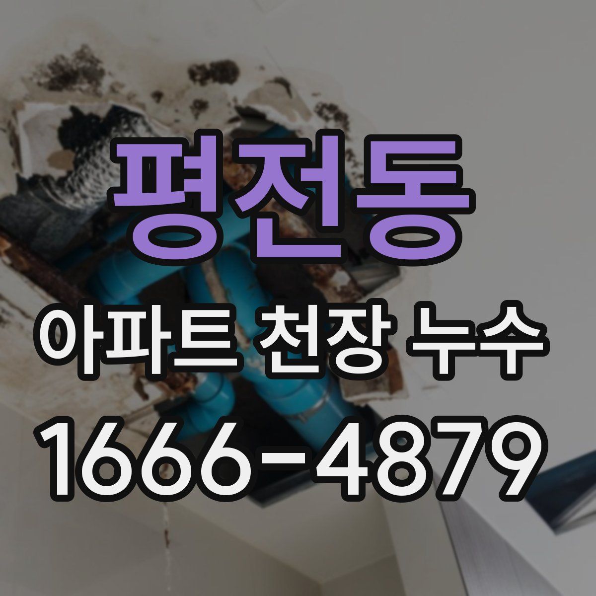 평전동 아파트 천장 누수