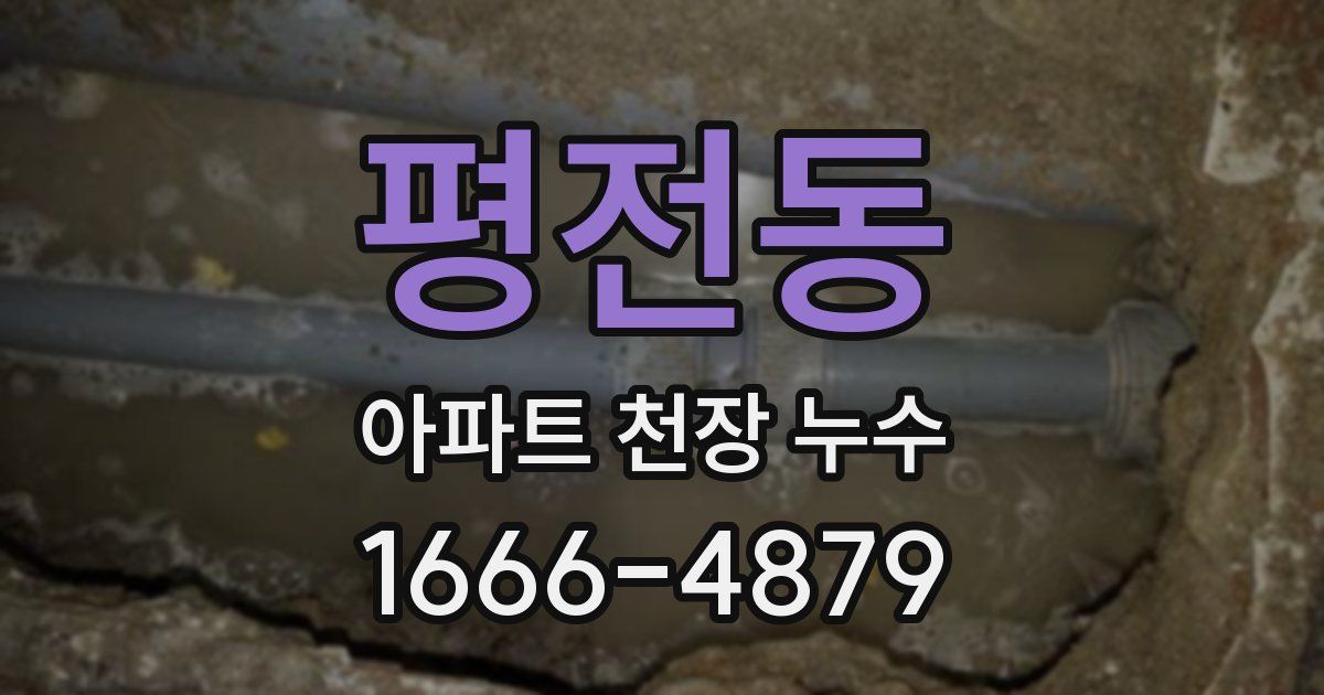 평전동 아파트 천장 누수