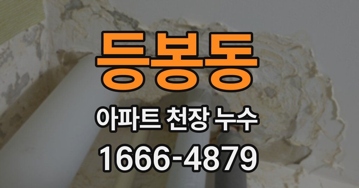 등봉동 아파트 천장 누수