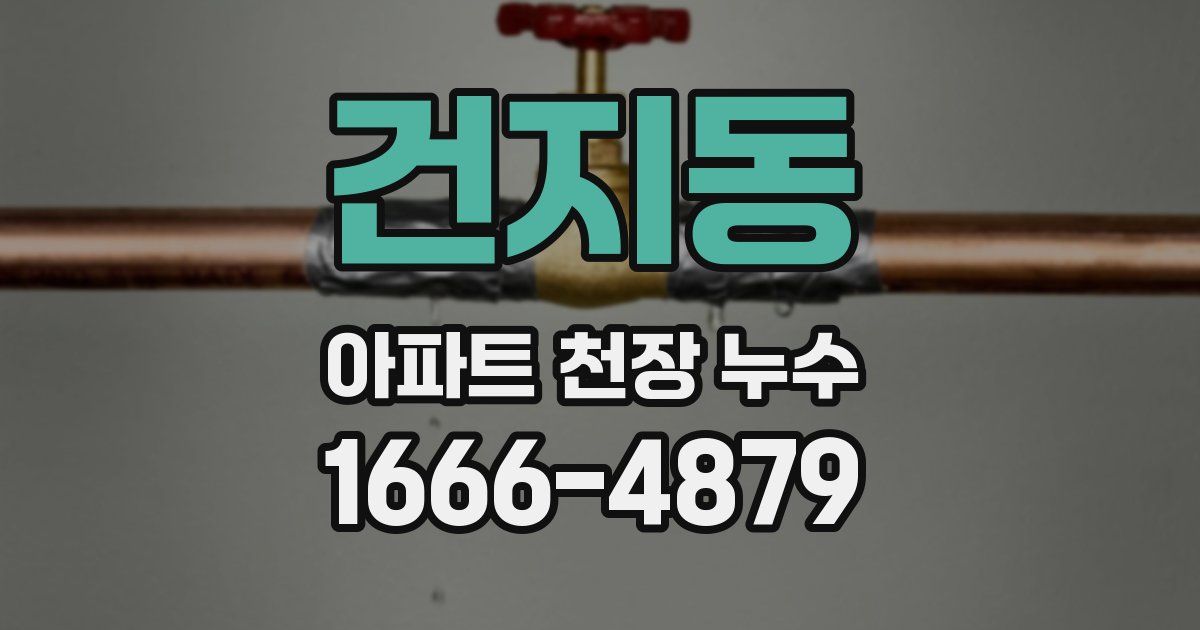 건지동 아파트 천장 누수
