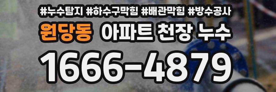원당동 아파트 천장 누수