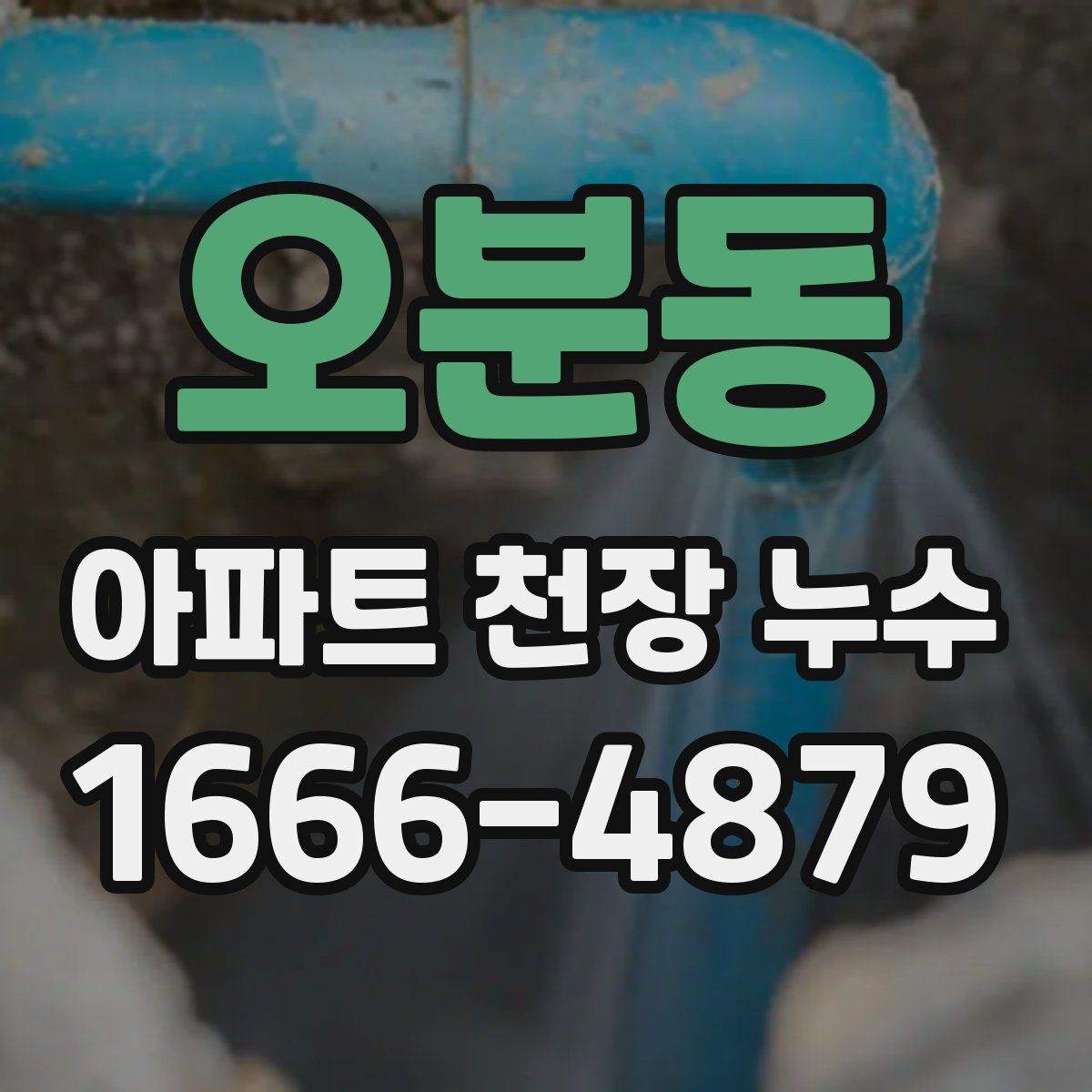 오분동 아파트 천장 누수