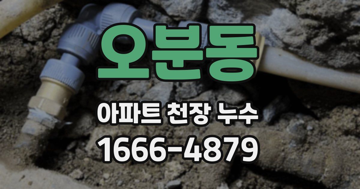 오분동 아파트 천장 누수