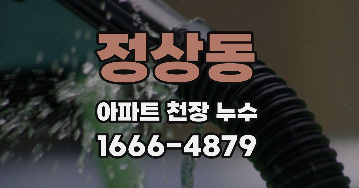 정상동 아파트 천장 누수