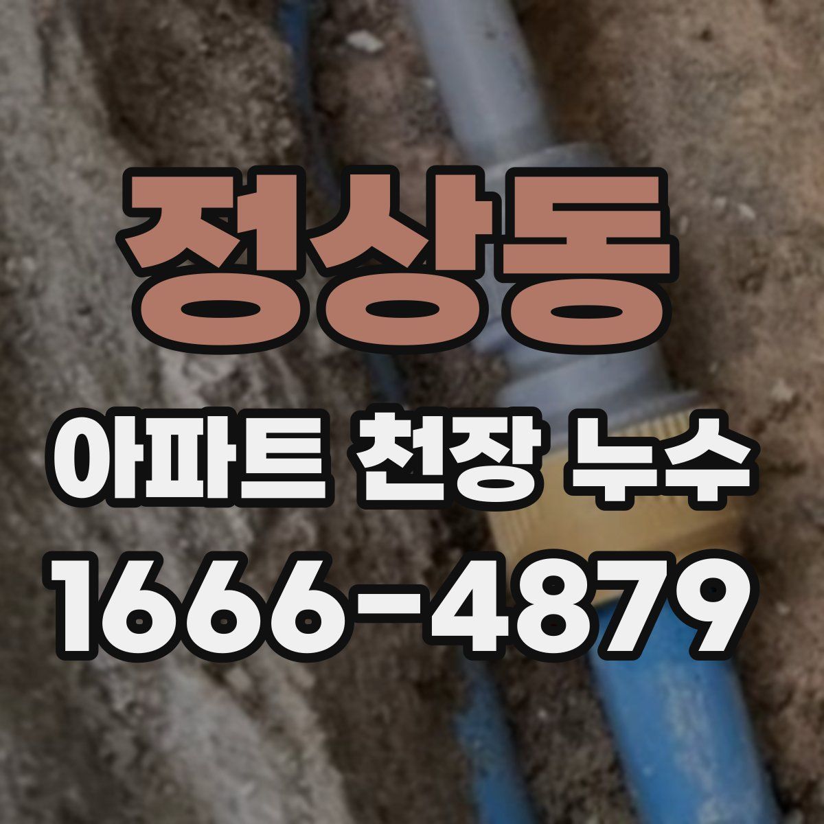 정상동 아파트 천장 누수