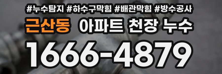 근산동 아파트 천장 누수