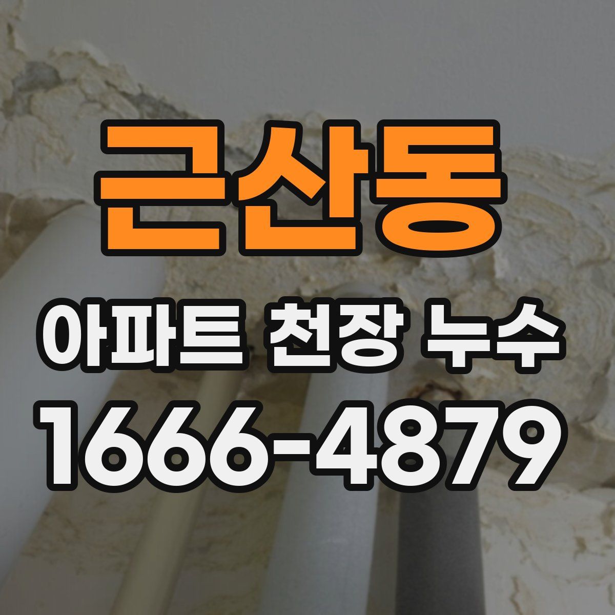 근산동 아파트 천장 누수