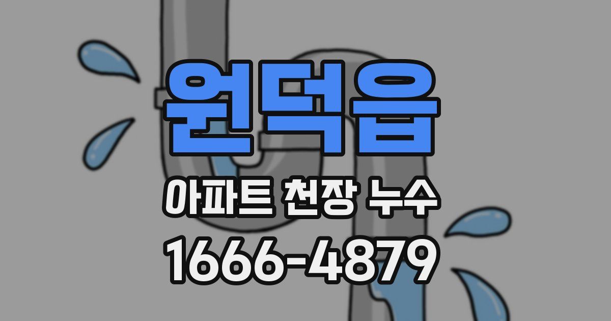 원덕읍 아파트 천장 누수