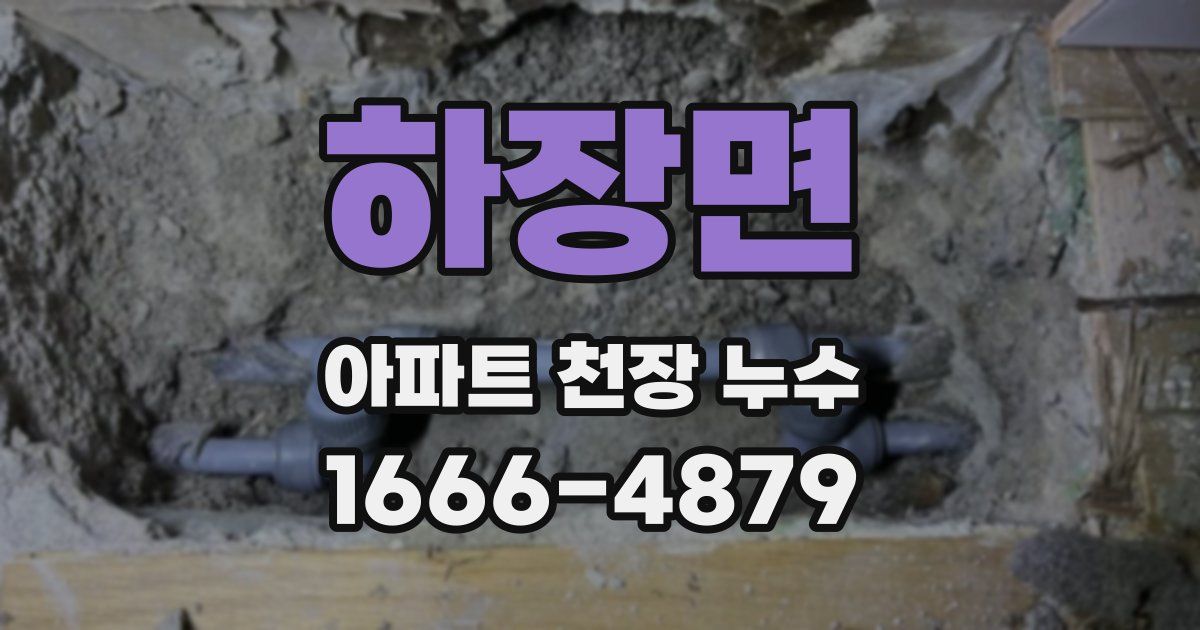 하장면 아파트 천장 누수