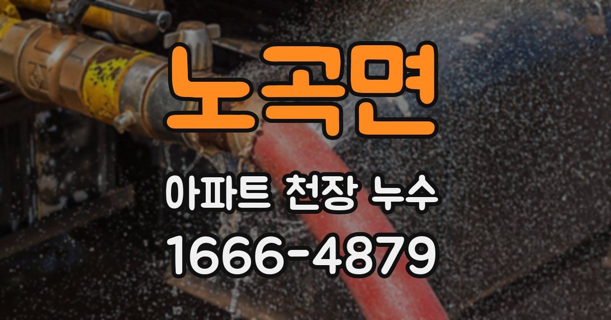 노곡면 아파트 천장 누수