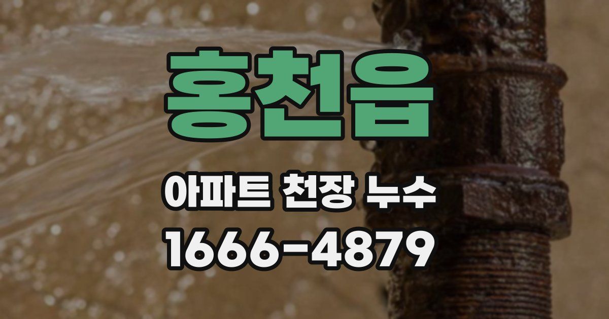 홍천읍 아파트 천장 누수