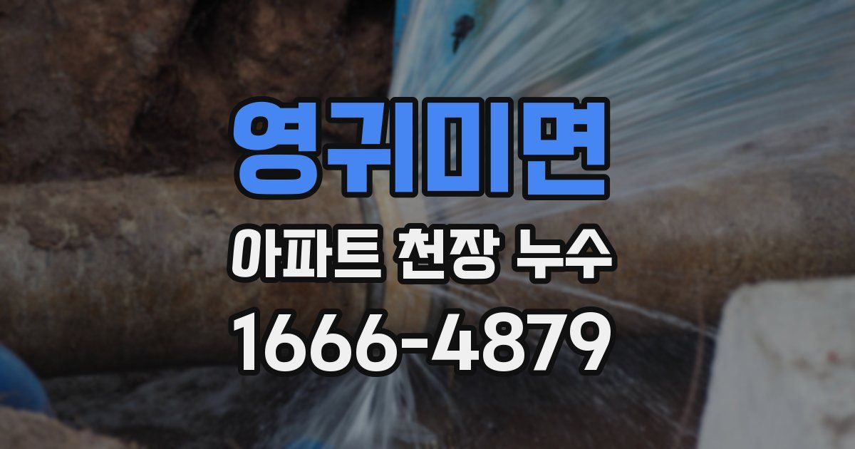 영귀미면 아파트 천장 누수