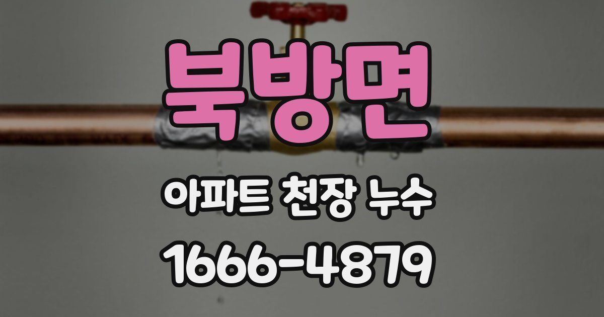 북방면 아파트 천장 누수