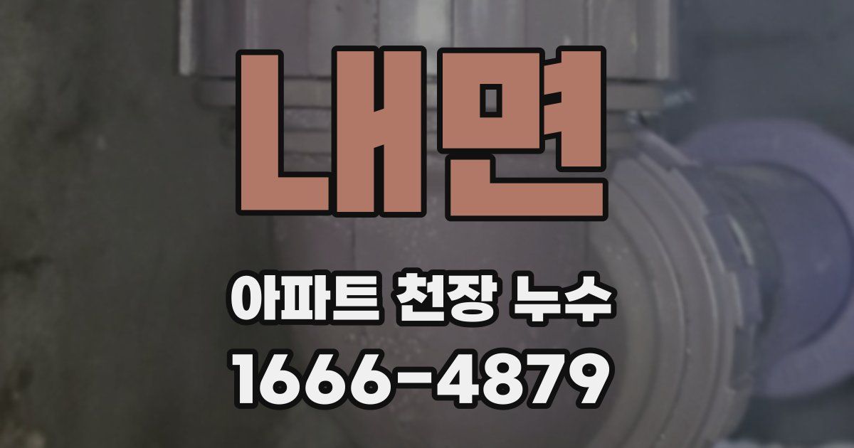 내면 아파트 천장 누수