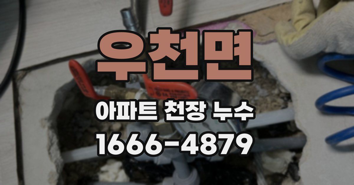 우천면 아파트 천장 누수