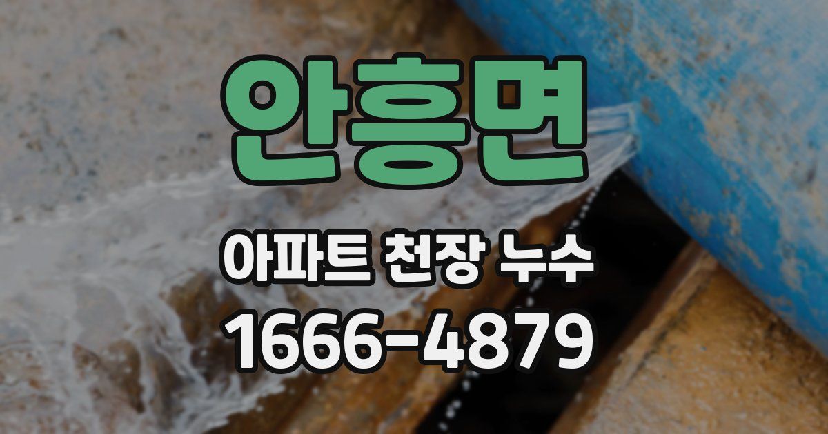 안흥면 아파트 천장 누수