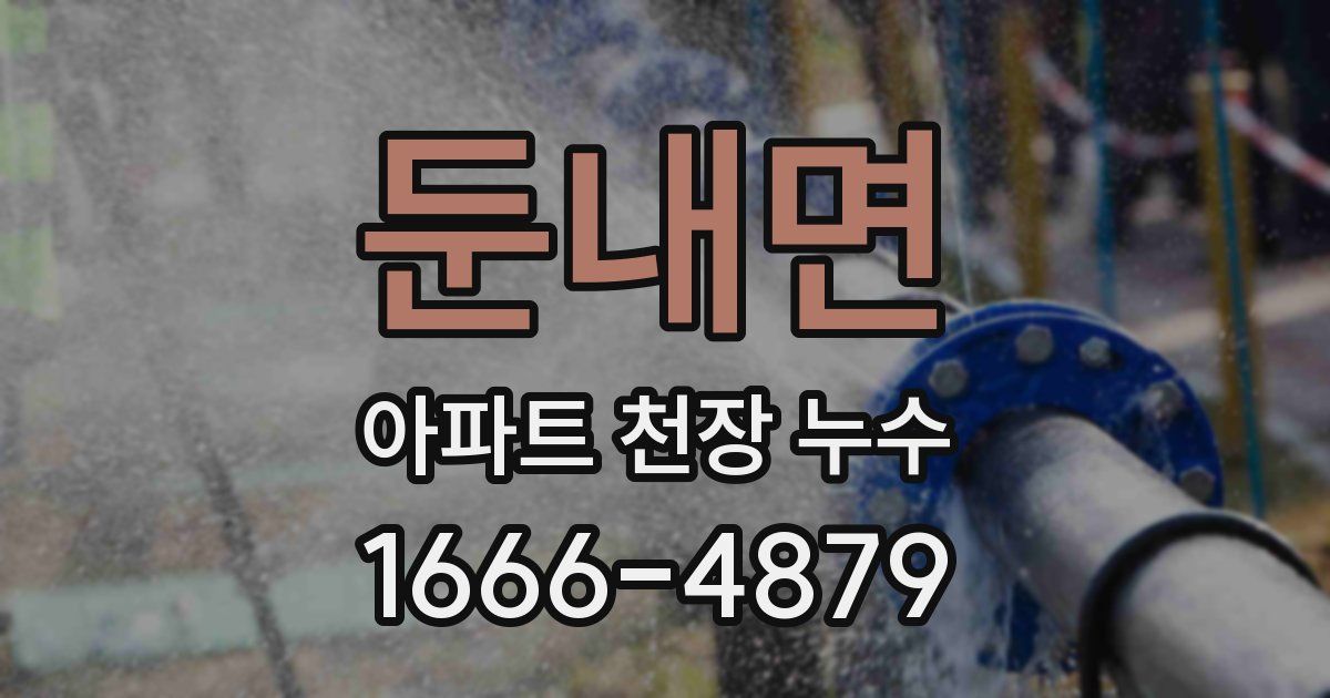 둔내면 아파트 천장 누수