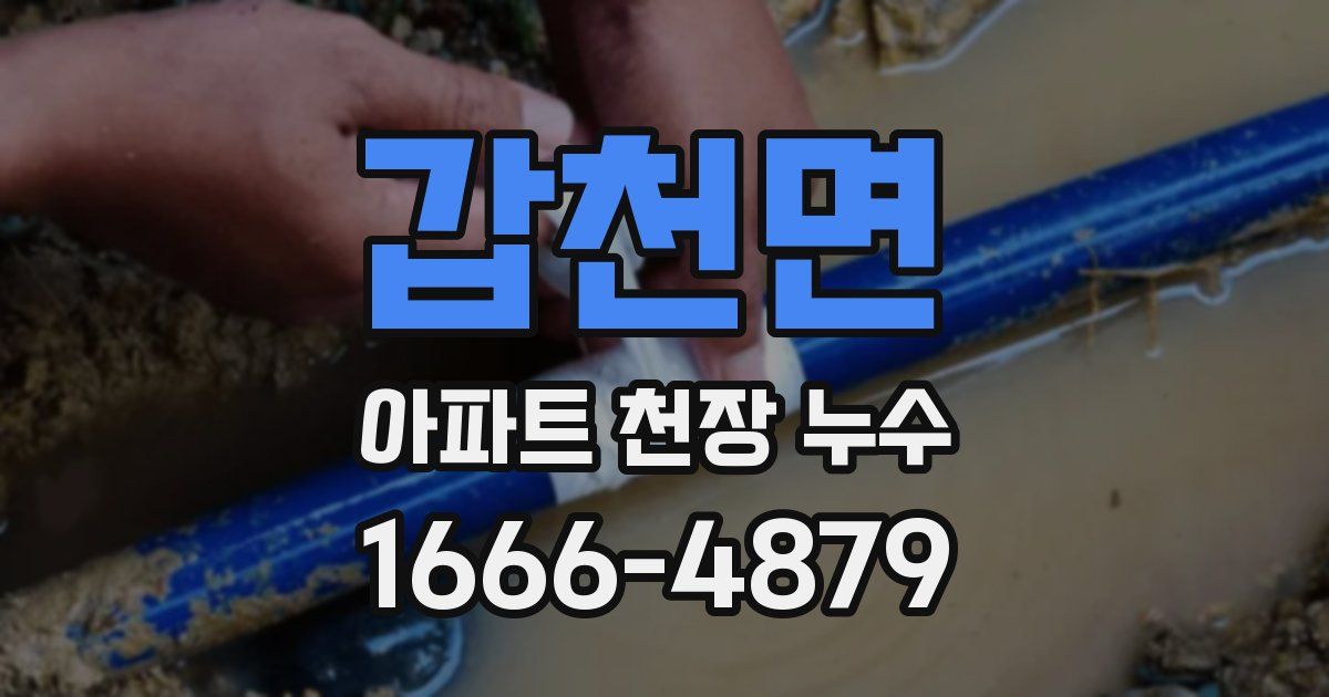 갑천면 아파트 천장 누수