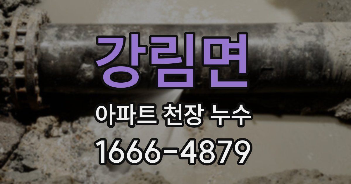 강림면 아파트 천장 누수