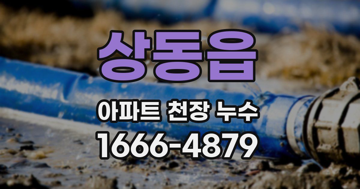 상동읍 아파트 천장 누수