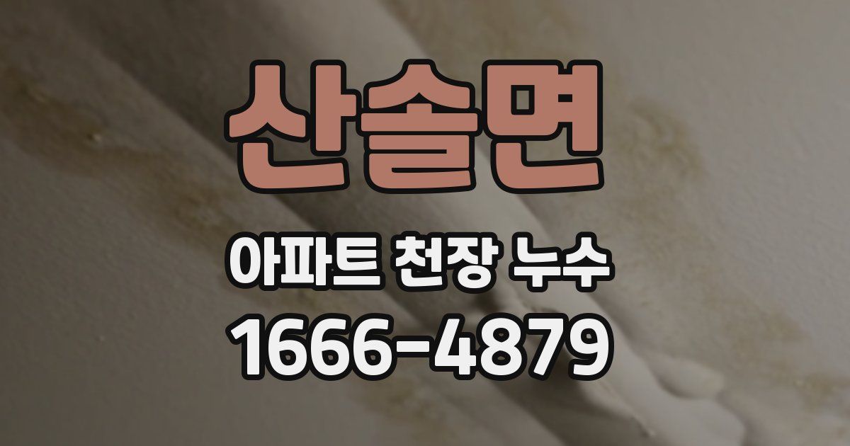 산솔면 아파트 천장 누수