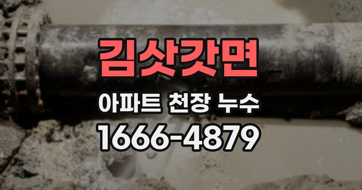 김삿갓면 아파트 천장 누수