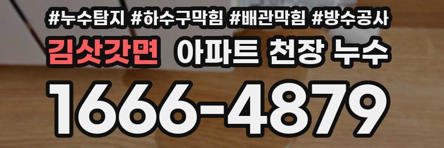 김삿갓면 아파트 천장 누수