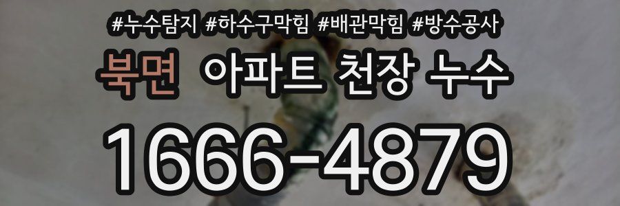 북면 아파트 천장 누수