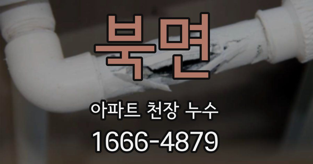 북면 아파트 천장 누수