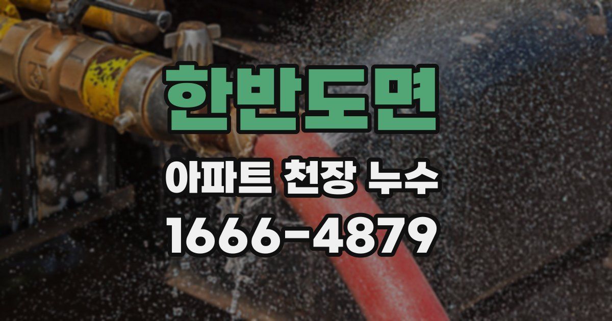 한반도면 아파트 천장 누수