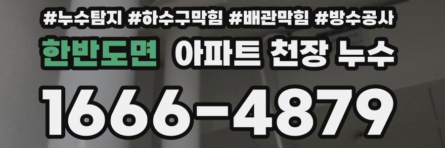 한반도면 아파트 천장 누수