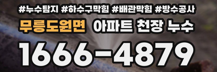 무릉도원면 아파트 천장 누수