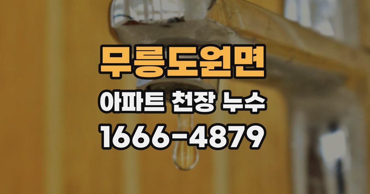 무릉도원면 아파트 천장 누수